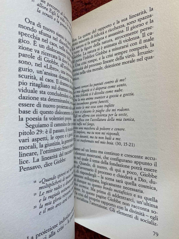 Il lavoro di Giobbe, Antonio Negri, SugarCo, 1990