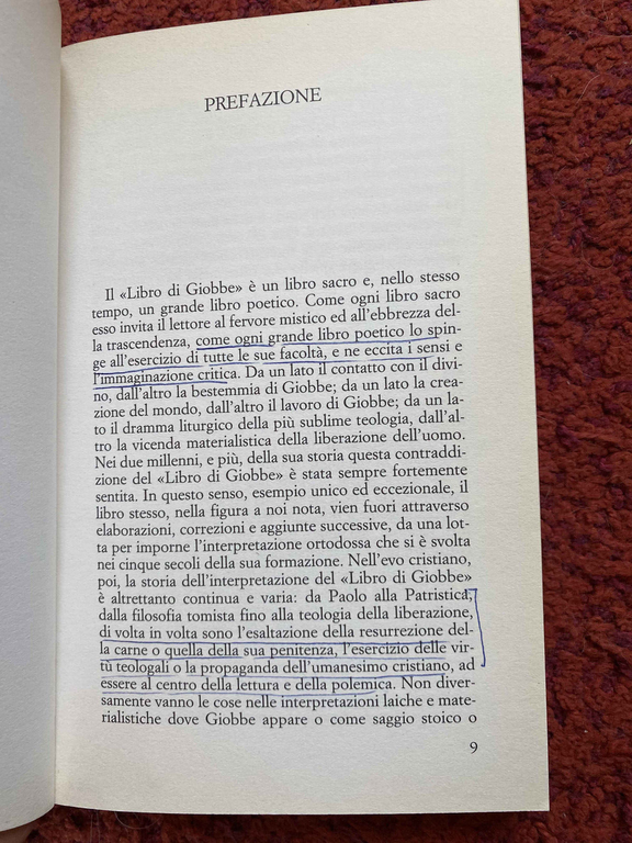 Il lavoro di Giobbe, Antonio Negri, SugarCo, 1990