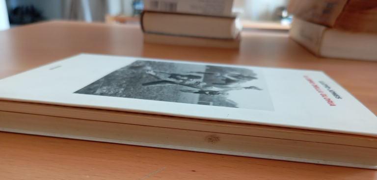 Il libro della gloria, LLoyd Jones, Einaudi, 2009 | Immagine Gallery 4