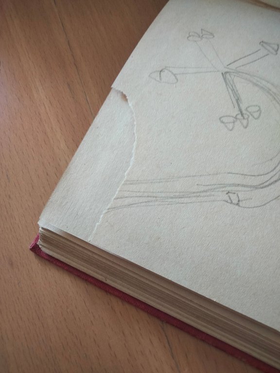 Il libro delle bestie, R. Kipling, Marzocco, 1951 | Immagine Gallery 10