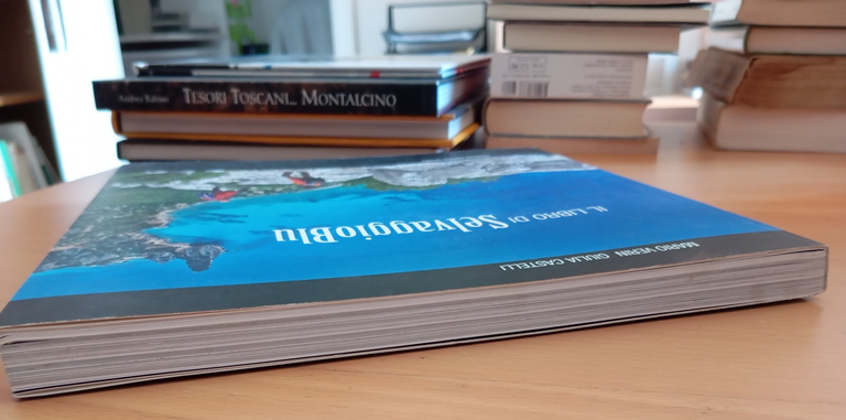 Il libro di Selvaggio Blu, Verin- Castelli, Edizioni enrico Spanu, … | Immagine Gallery 3