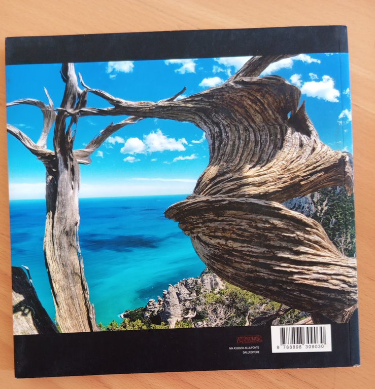 Il libro di Selvaggio Blu, Verin- Castelli, Edizioni enrico Spanu, … | Immagine Gallery 4