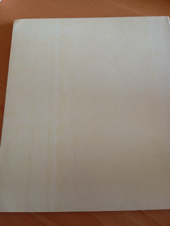 Il luogo teatrale a Firenze, Palazzo Medici, 1975, Electa