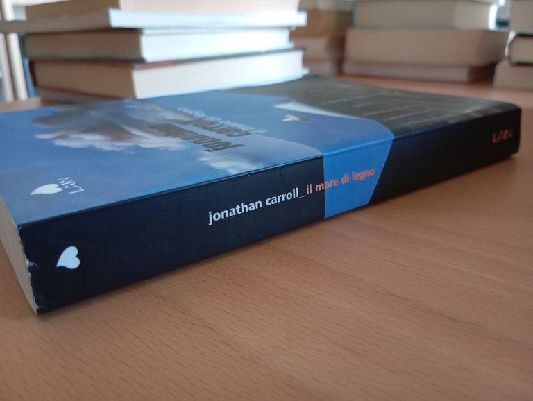 Il mare di legno, Jonathan Carroll, Lain, 2004