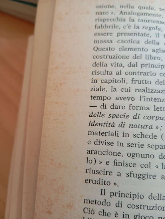 Il metaromanzo, Mario Perniola, Silva Editore, 1966