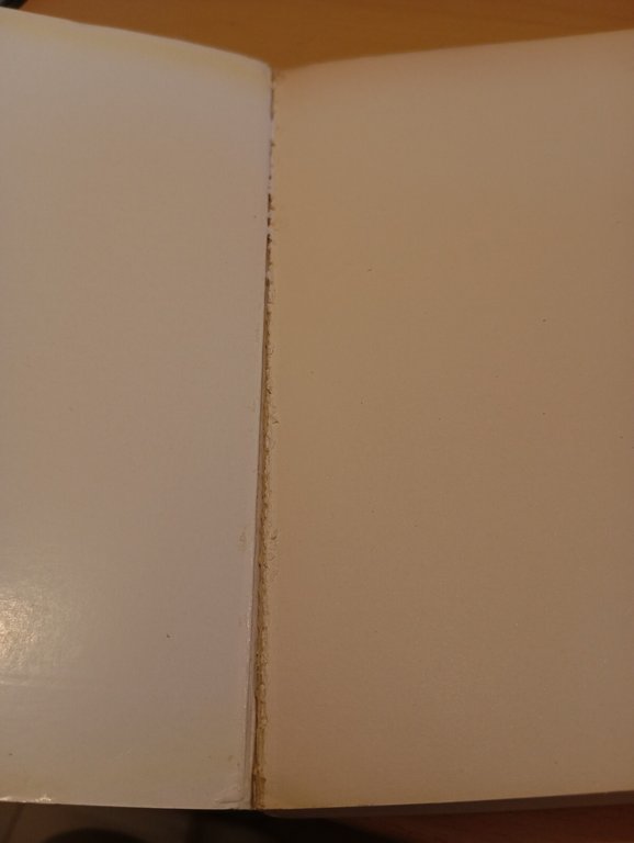 Il mio teatro, Edward Gordon Craig, Feltrinelli, 1971, Molto raro