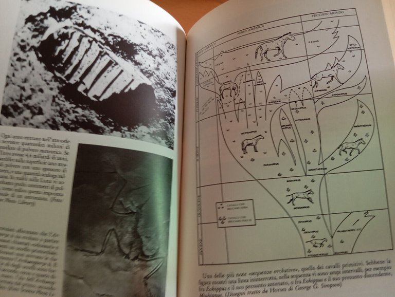 Il mistero della vita, Richard Milton, Geo, 1993