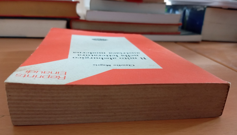 Il mito asburgico nella letteratura austriaca moderna, C. Magris, Einaudi, … | Immagine Gallery 4