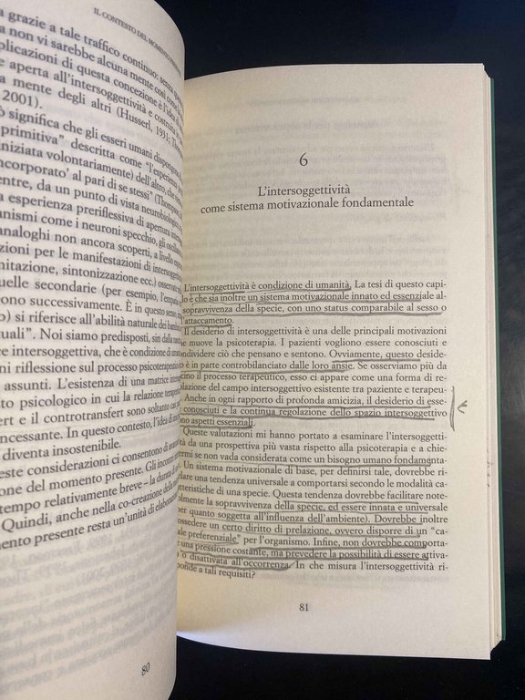 Il momento presente, Daniel N. Stein, Raffaele Cortina Editore, 2005