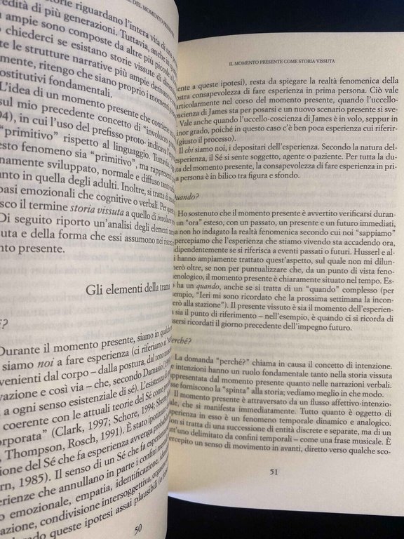 Il momento presente, Daniel N. Stein, Raffaele Cortina Editore, 2005