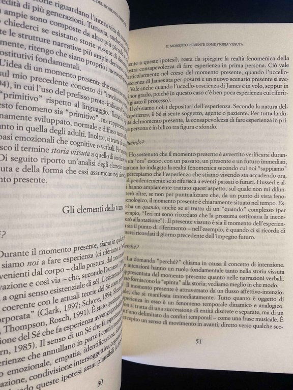 Il momento presente, Daniel N. Stein, Raffaele Cortina Editore, 2005