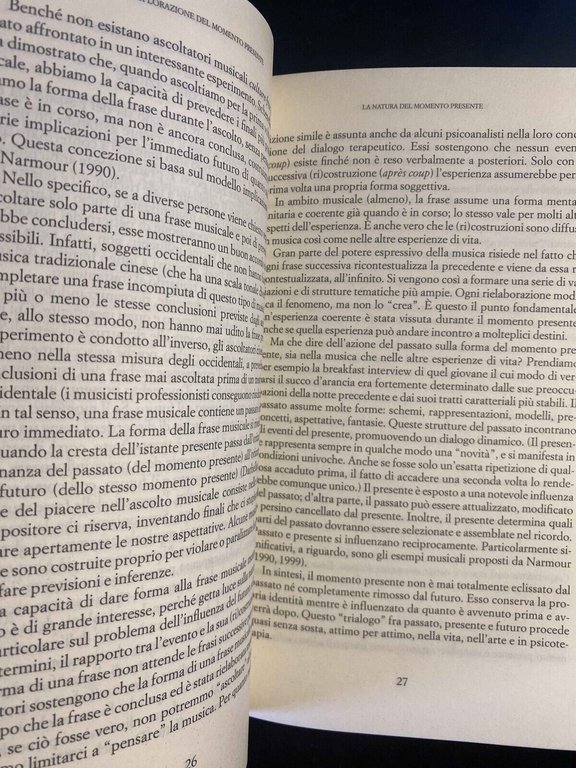 Il momento presente, Daniel N. Stein, Raffaele Cortina Editore, 2005