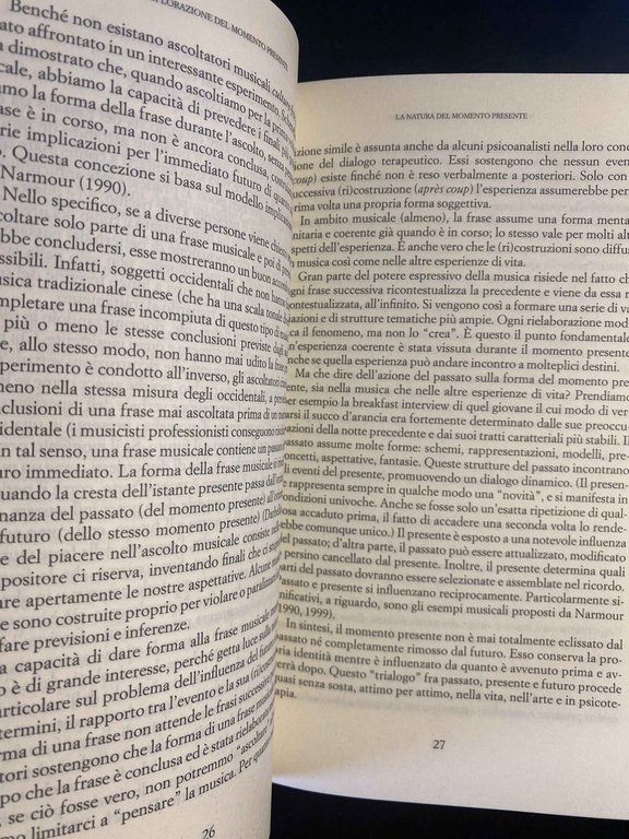 Il momento presente, Daniel N. Stern, Raffaele Cortina Editore, 2005