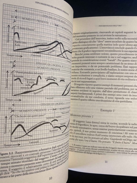 Il momento presente, Daniel N. Stein, Raffaele Cortina Editore, 2005