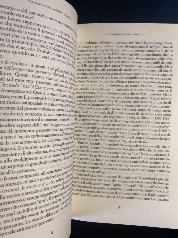 Il momento presente, Daniel N. Stein, Raffaele Cortina Editore, 2005