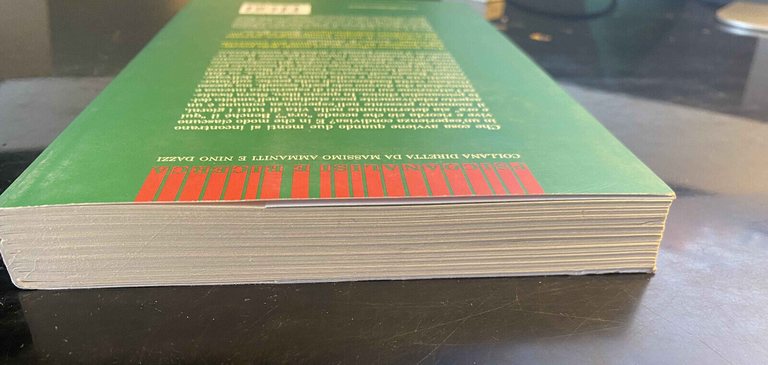 Il momento presente, Daniel N. Stein, Raffaele Cortina Editore, 2005