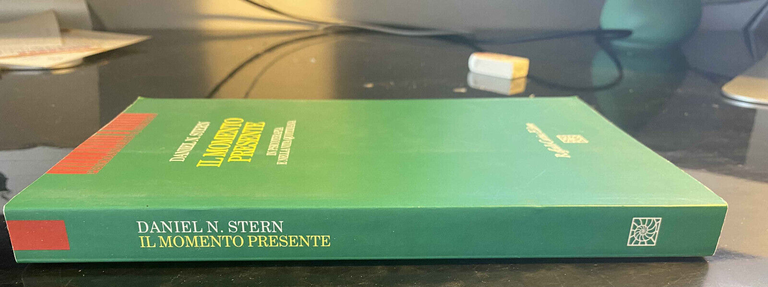 Il momento presente, Daniel N. Stein, Raffaele Cortina Editore, 2005