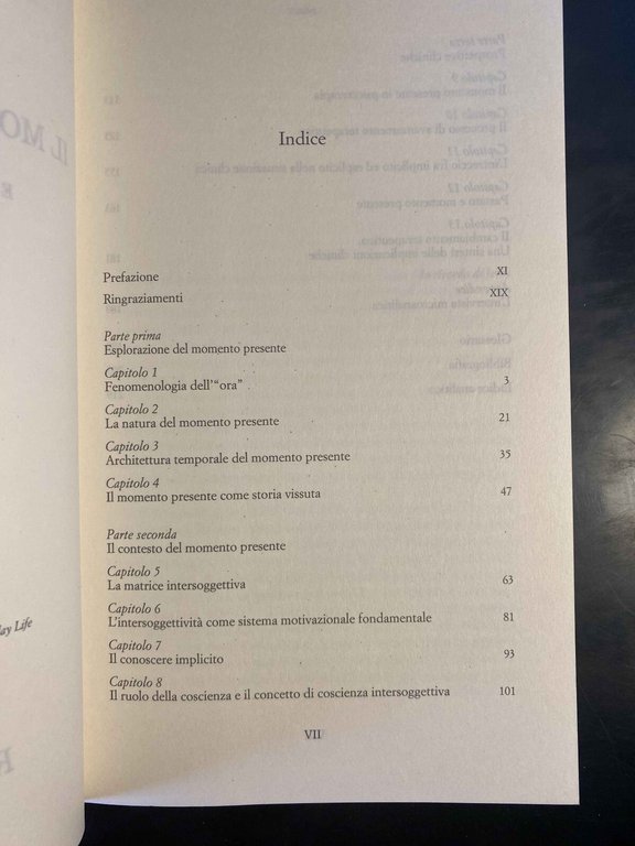 Il momento presente, Daniel N. Stein, Raffaele Cortina Editore, 2005