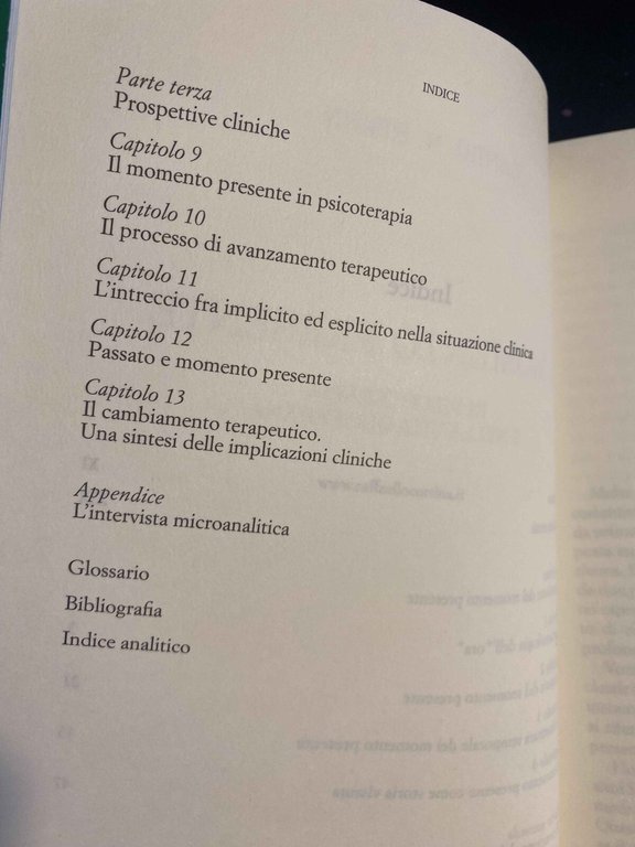 Il momento presente, Daniel N. Stein, Raffaele Cortina Editore, 2005