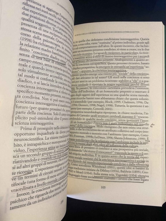 Il momento presente, Daniel N. Stein, Raffaele Cortina Editore, 2005