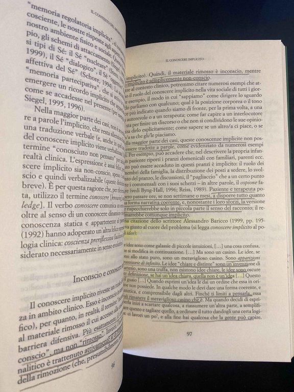 Il momento presente, Daniel N. Stein, Raffaele Cortina Editore, 2005