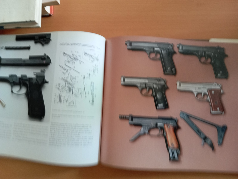Il mondo Beretta una leggenda internazionale, R. L. Wilson, Sperling … | Immagine Gallery 11