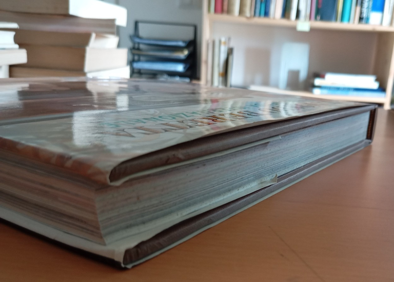 Il mondo Beretta una leggenda internazionale, R. L. Wilson, Sperling … | Immagine Gallery 4