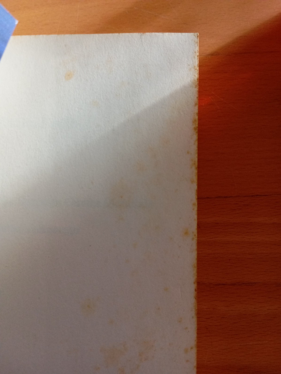 Il nord pontino nella seconda guerra mondiale gli sfollati raccontano … | Immagine Gallery 13