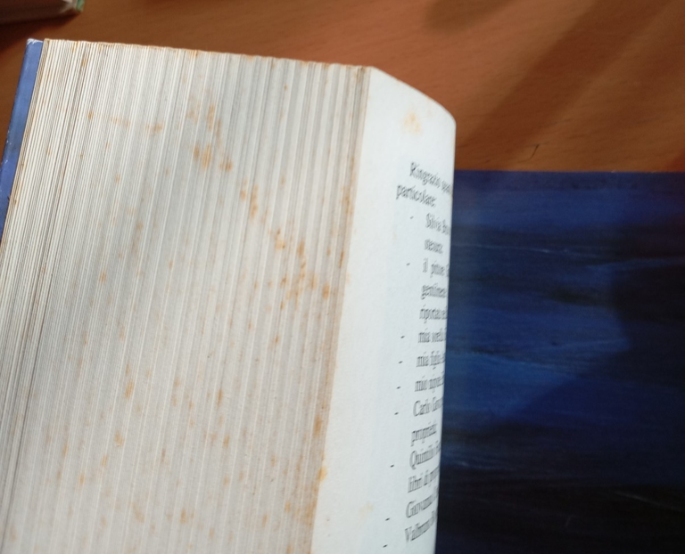 Il nord pontino nella seconda guerra mondiale gli sfollati raccontano … | Immagine Gallery 6