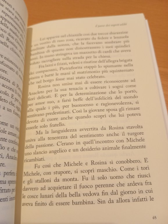 il paese dei segreti addii, Mimmo Sammartino, Hacca, 2016