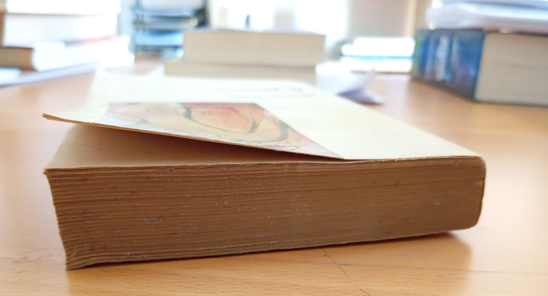 Il Pantano, Raymond Queneau, Einaudi, 1948, prima edizione | Immagine Gallery 4