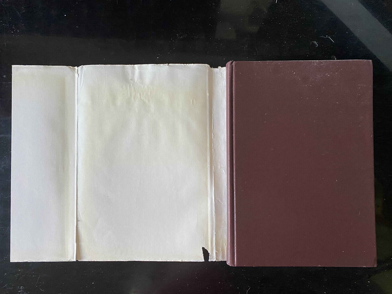 Il parco nazionale del circeo. Dai filtri di Circe al … | Immagine Gallery 7