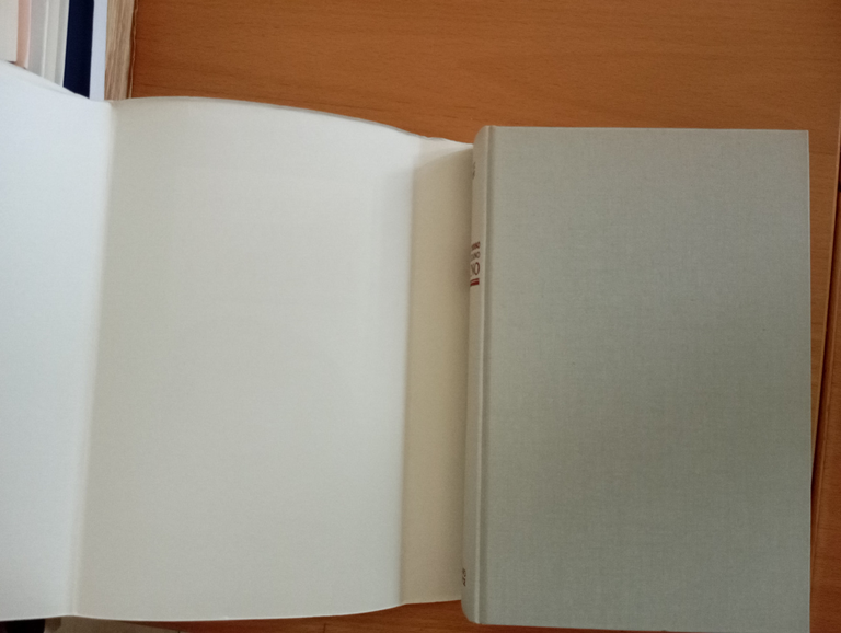 Il processo di Giordano Bruno, Luigi Firpo, Salerno Editrice, 1993