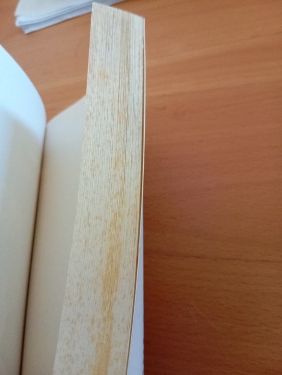 Il professore di desiderio, Philip Roth, Einaudi, 2010 | Immagine Gallery 8