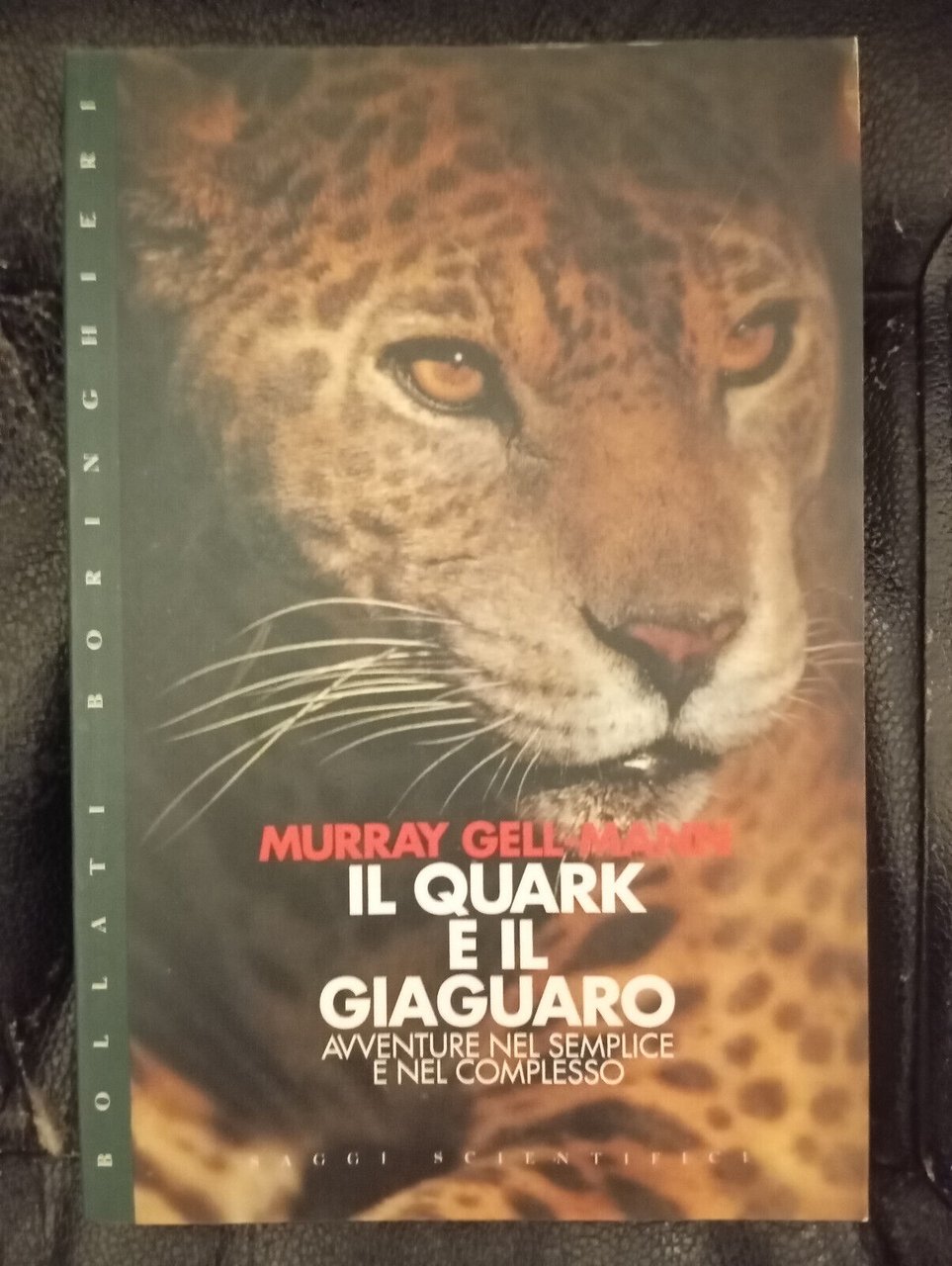 Il quark e il giaguaro, Murray Gell-Mann, Bollati Boringhieri, 1996