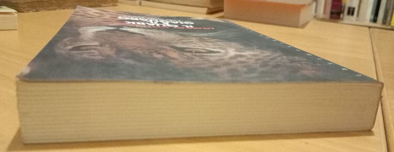 Il quark e il giaguaro, Murray Gell-Mann, Bollati Boringhieri, 1996
