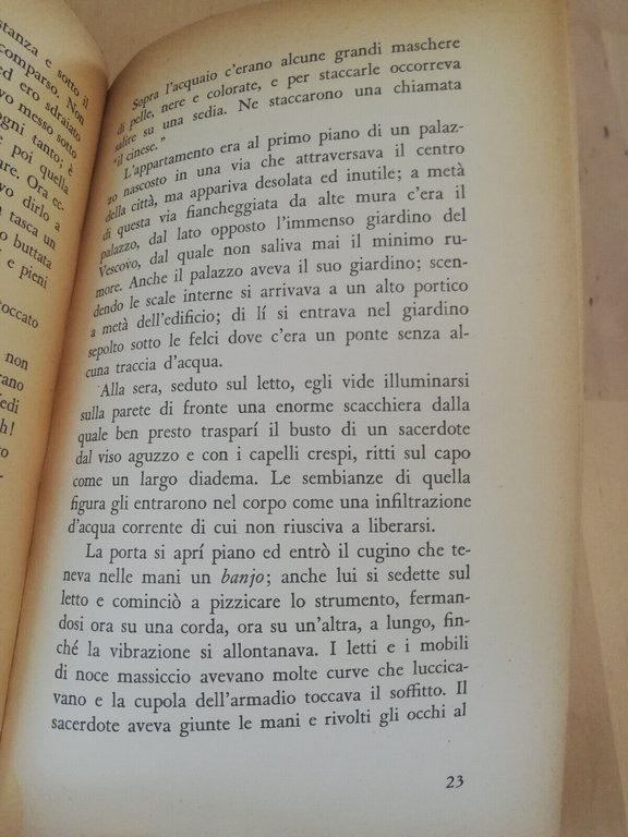 Il ragazzo morto e le comete, Goffredo Parise, 1965, Feltrinelli