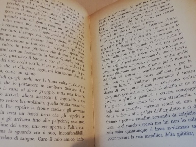 Il ragazzo morto e le comete, Goffredo Parise, 1965, Feltrinelli