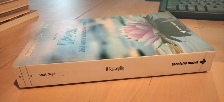 Il risveglio. Diario di viaggio verso una vita, Mark Nepo, …
