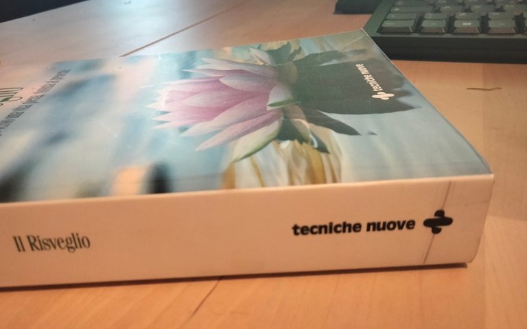 Il risveglio. Diario di viaggio verso una vita, Mark Nepo, …