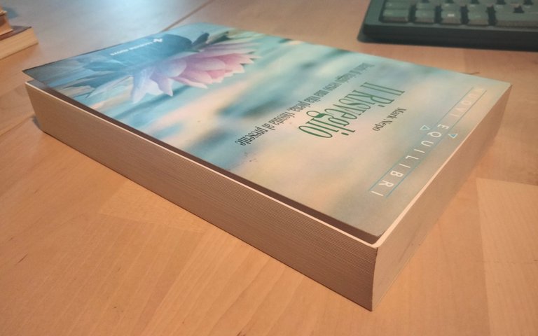 Il risveglio. Diario di viaggio verso una vita, Mark Nepo, …