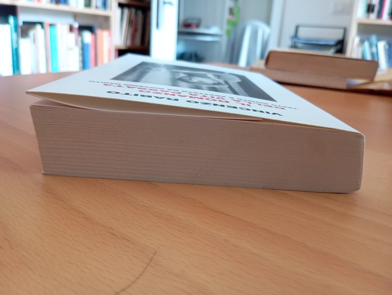 Il romanzo della vita passata, Vincenzo Rabito, Einaudi, 2022