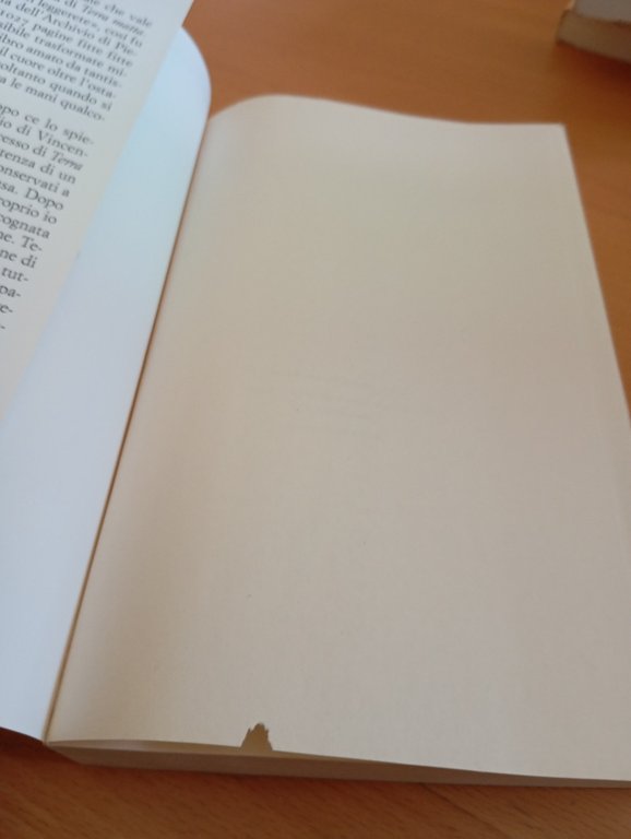 Il romanzo della vita passata, Vincenzo Rabito, Einaudi, 2022