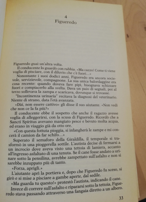 Il rosso del pappagallo, Daniel Chavarría, 2000, Marco Tropea