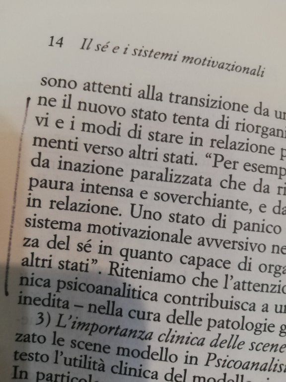 Il sé e i sistemi motivazionali, Lichtenberg Lachmann Fosshage Astrolabio …