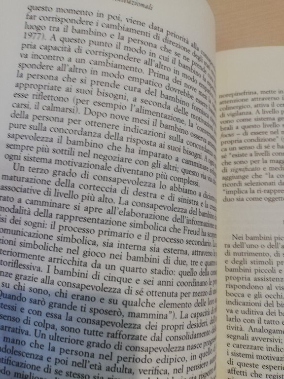 Il sé e i sistemi motivazionali, Lichtenberg Lachmann Fosshage Astrolabio …