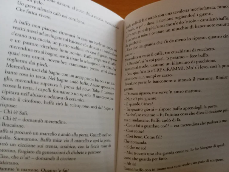Il senso della vita è non rompere i coglioni, Gino … | Immagine Gallery 18