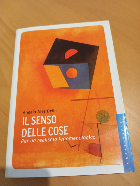 Il senso delle cose, Angela Ales Bello, 2013, fuori catalogo, …