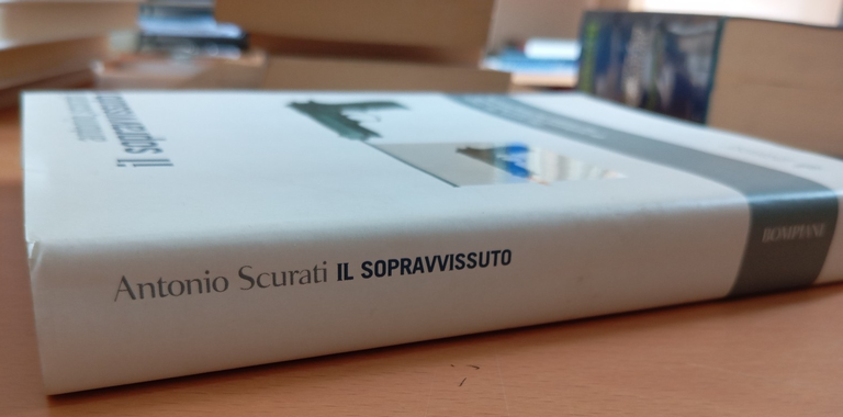 Il sopravvissuto, Antonio Scurati, Bompiani, 2005 | Immagine Gallery 2