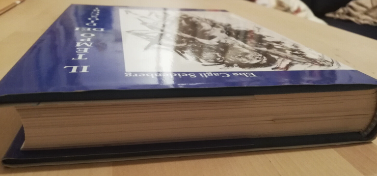 Il tempo dei dioscuri, Ebe Cagli Seidenberg, 1996, Bora Edizioni